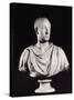 Portrait of the Holy Roman Emperor Francis I (1708-65) (Marble) (See also 82132)-Antonio Canova-Stretched Canvas