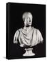 Portrait of the Holy Roman Emperor Francis I (1708-65) (Marble) (See also 82132)-Antonio Canova-Framed Stretched Canvas