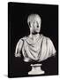 Portrait of the Holy Roman Emperor Francis I (1708-65) (Marble) (See also 82132)-Antonio Canova-Stretched Canvas