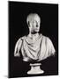 Portrait of the Holy Roman Emperor Francis I (1708-65) (Marble) (See also 82132)-Antonio Canova-Mounted Giclee Print