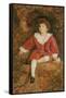 Portrait of the Hon John Neville Manners, 1896-John Everett Millais-Framed Stretched Canvas
