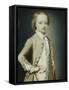 Portrait of the Hon. William Napier, 1735, Aged Eight, Wearing a Green Coat-George Knapton-Framed Stretched Canvas