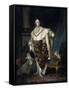 Portrait of the King Louis XVI (1754-179)-Joseph-Siffred Duplessis-Framed Stretched Canvas