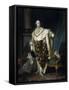 Portrait of the King Louis XVI (1754-179)-Joseph-Siffred Duplessis-Framed Stretched Canvas