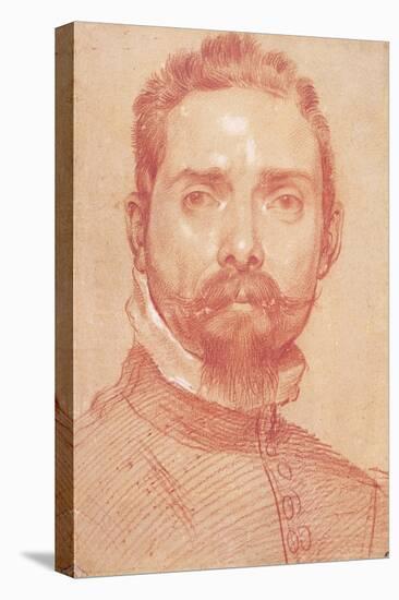 Portrait of the Lute Player Giulio Mascheroni, Ca 1594-Annibale Carracci-Stretched Canvas