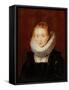 Portrait of the Maid of Honour to the Infanta Isabella-Peter Paul Rubens-Framed Stretched Canvas