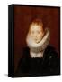 Portrait of the Maid of Honour to the Infanta Isabella-Peter Paul Rubens-Framed Stretched Canvas