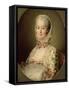 Portrait of the Marquise de Pompadour (1721-64) 1763-Francois-Hubert Drouais-Framed Stretched Canvas