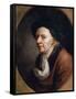 Portrait of the Mathematican Leonhard Euler, (1707-178), German Painting of 18th Century-Joseph Friedrich August Darbes-Framed Stretched Canvas