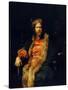 Portrait of the One-Armed Painter Martin Ryckaert-Sir Anthony Van Dyck-Stretched Canvas