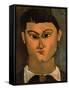 Portrait of the Painter Moise Kisling, 1915-Amedeo Modigliani-Framed Stretched Canvas