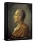 Portrait of the Philosopher Montesquieu after Jacques Antoine Dassiers-null-Framed Stretched Canvas