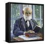 Portrait of the Physiologist, Psychologist, and Physician Ivan P. Pavlov, (1849-193), 1930-Mikhail Vasilyevich Nesterov-Framed Stretched Canvas