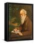 Portrait of the poet Henry Wadsworth Longfellow (1807-1882)-null-Framed Stretched Canvas