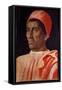 Portrait of the Priest Carlo Di Cosimo De'medici, 1466 (Tempera on Wood)-Andrea Mantegna-Framed Stretched Canvas