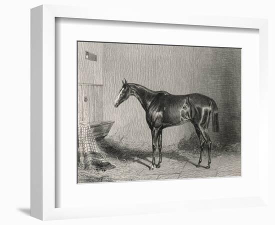 Portrait of the Racehorse Harkaway Who Won the 1838 Goodwood Cup in His Stable-W.b. Scott-Framed Photographic Print