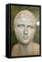 Portrait of the Roman Emperor Gallienus, 3rd Century-null-Framed Stretched Canvas