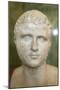 Portrait of the Roman Emperor Gallienus, 3rd Century-null-Mounted Photographic Print