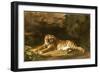Portrait of the Royal Tiger, C.1770-George Stubbs-Framed Giclee Print