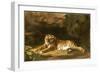 Portrait of the Royal Tiger, C.1770-George Stubbs-Framed Giclee Print