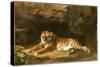 Portrait of the Royal Tiger, C.1770-George Stubbs-Stretched Canvas