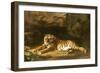 Portrait of the Royal Tiger, circa 1770-George Stubbs-Framed Giclee Print