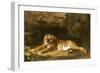 Portrait of the Royal Tiger, circa 1770-George Stubbs-Framed Giclee Print