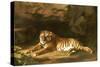 Portrait of the Royal Tiger, circa 1770-George Stubbs-Stretched Canvas