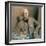 Portrait of the Rt. Hon. David Lloyd George-Sir William Orpen-Framed Giclee Print