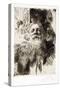 Portrait of the Sculptor Auguste Rodin, 1906 (Engraving)-Anders Leonard Zorn-Stretched Canvas