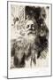 Portrait of the Sculptor Auguste Rodin, 1906 (Engraving)-Anders Leonard Zorn-Mounted Giclee Print