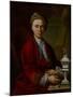 Portrait of the Silversmith Johann Friedrich Baer, C.1770-Johann Daniel Heimlich-Mounted Giclee Print