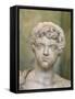 Portrait of the Young Caracalla, Late 2nd or Early 3rd Century-null-Framed Stretched Canvas