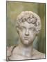 Portrait of the Young Caracalla, Late 2nd or Early 3rd Century-null-Mounted Photographic Print