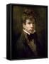 Portrait of the Young Ingres 1790s-Jacques-Louis David-Framed Stretched Canvas