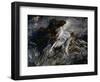 Portrait of the Young Marchesa Casati, 1911-13-Giovanni Boldini-Framed Art Print