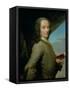 Portrait of the Young Voltaire (1694-1778)-null-Framed Stretched Canvas