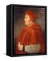Portrait of Thomas Wolsey, Cardinal of York, C.1675-null-Framed Stretched Canvas