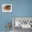 Portrait of Three Boys in Full Baseball Uniforms-null-Framed Photographic Print displayed on a wall