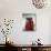 Portrait of Three Tibetan Buddhist Monks, Tashi Jong Monastery, Tibet, China-Simon Westcott-Stretched Canvas displayed on a wall