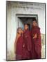 Portrait of Three Tibetan Buddhist Monks, Tashi Jong Monastery, Tibet, China-Simon Westcott-Mounted Photographic Print