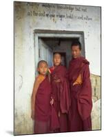 Portrait of Three Tibetan Buddhist Monks, Tashi Jong Monastery, Tibet, China-Simon Westcott-Mounted Photographic Print