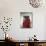 Portrait of Three Tibetan Buddhist Monks, Tashi Jong Monastery, Tibet, China-Simon Westcott-Mounted Photographic Print displayed on a wall