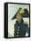 Portrait of Toussaint Louverture. Giradin, 1913-null-Framed Stretched Canvas