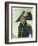 Portrait of Toussaint Louverture. Giradin, 1913-null-Framed Giclee Print