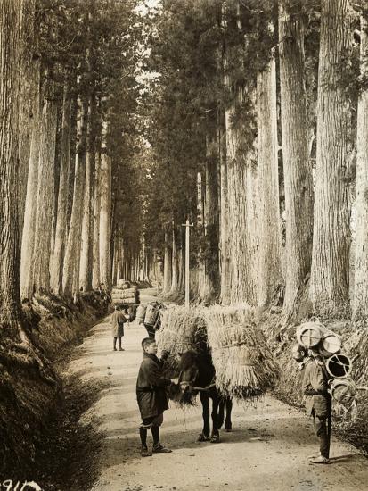 Photographic Print, , large