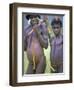 Portrait of Two Dani Tribesmen Wearing Penis Gourds, Irian Jaya, New Guinea, Indonesia-Claire Leimbach-Framed Photographic Print