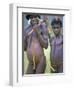 Portrait of Two Dani Tribesmen Wearing Penis Gourds, Irian Jaya, New Guinea, Indonesia-Claire Leimbach-Framed Photographic Print