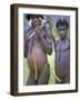 Portrait of Two Dani Tribesmen Wearing Penis Gourds, Irian Jaya, New Guinea, Indonesia-Claire Leimbach-Framed Photographic Print