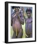 Portrait of Two Dani Tribesmen Wearing Penis Gourds, Irian Jaya, New Guinea, Indonesia-Claire Leimbach-Framed Photographic Print